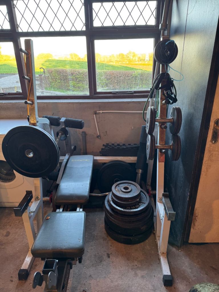 Home Gym Equipment/Weight (weights, squat/bench rack, bar, dumbbells)