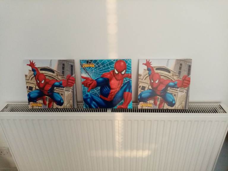 Spider man wall canvas