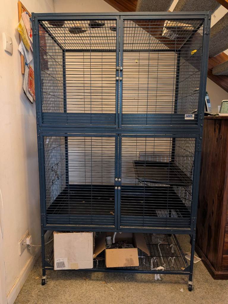 Rat (small furry) cage setup and accessories