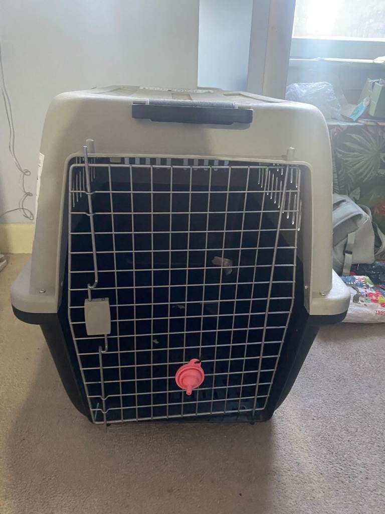 Dog travel crate