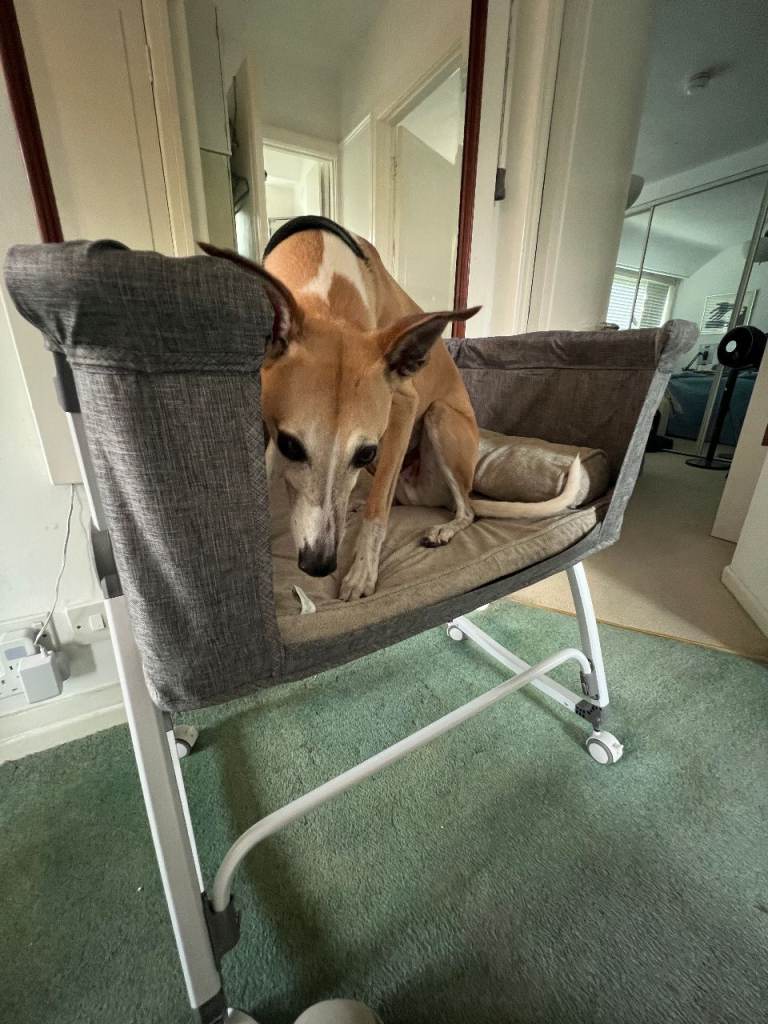 Grevigily Bedside Dog or Cat Bed Sleeper in Grey, NEW