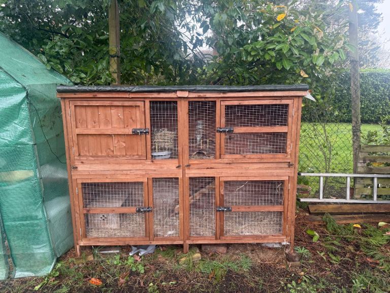 Large rabbit cage (can be used for other small animals) 
