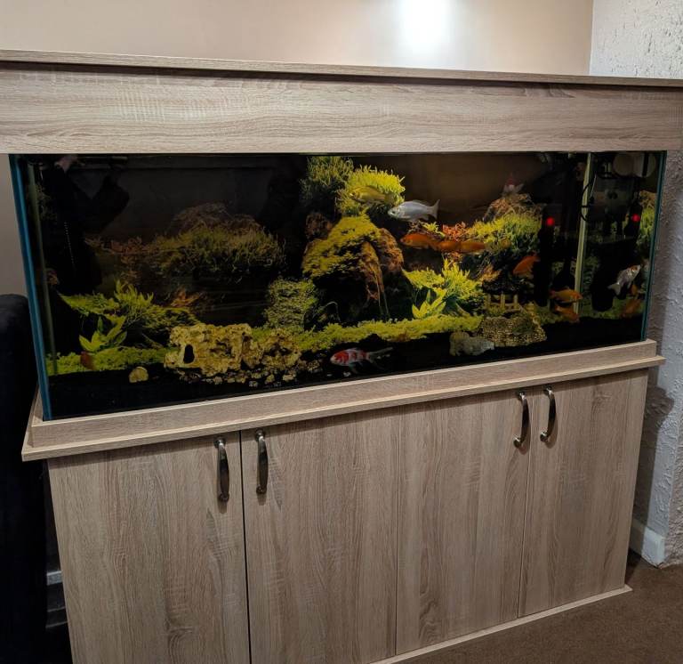 Fish tank and cabinet 