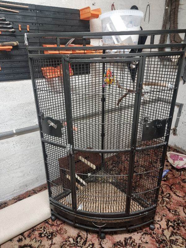Beautiful corner bird cage ideal for 6 cockatiels or parrot etc rosselas