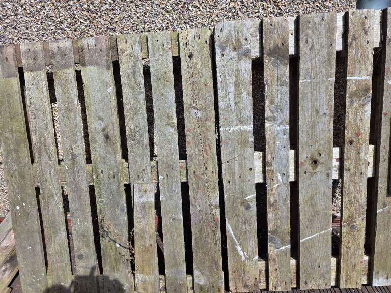  wood pallet 