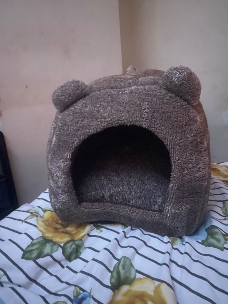 Cat bed 