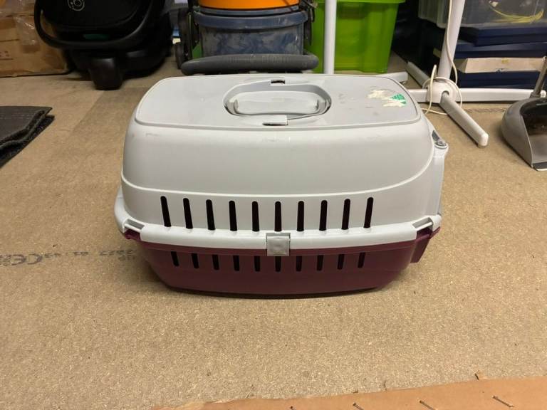 Cat basket used but perfect condition