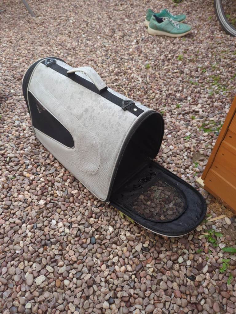 Free cat carrier 