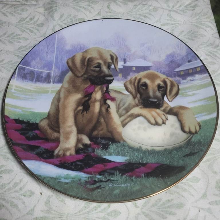 Great Try Puppy Plate –Good Sports Collection Limited Edition 1991 (J3)