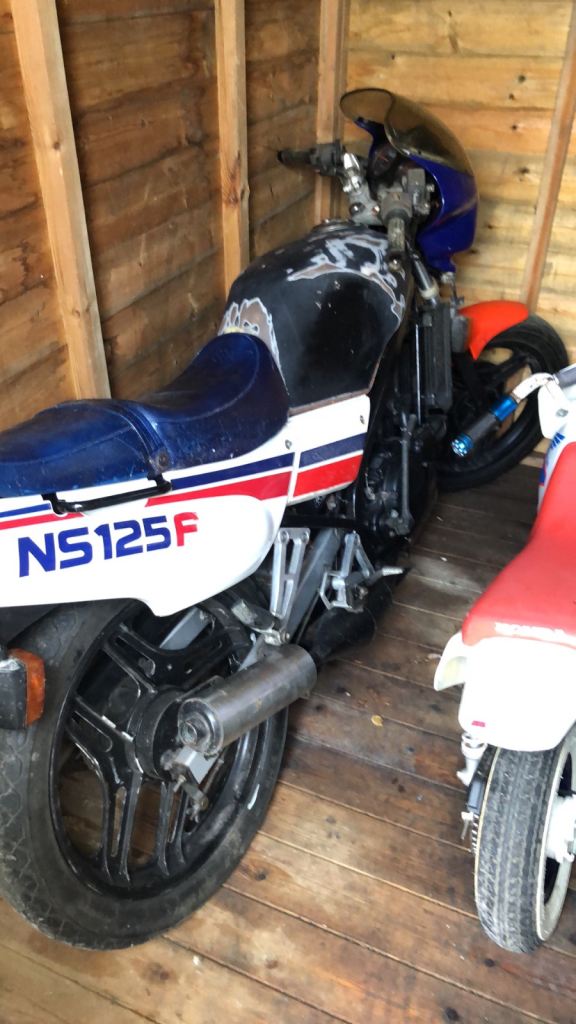 Honda, NS, 1987, 124 (cc)