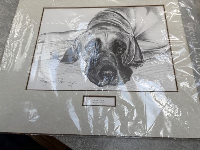 Great Dane by Pollyanna Pickering