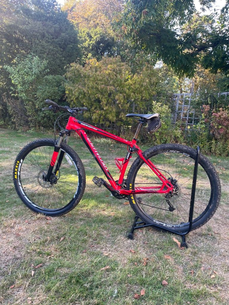 Specialized 29” Mt Bike