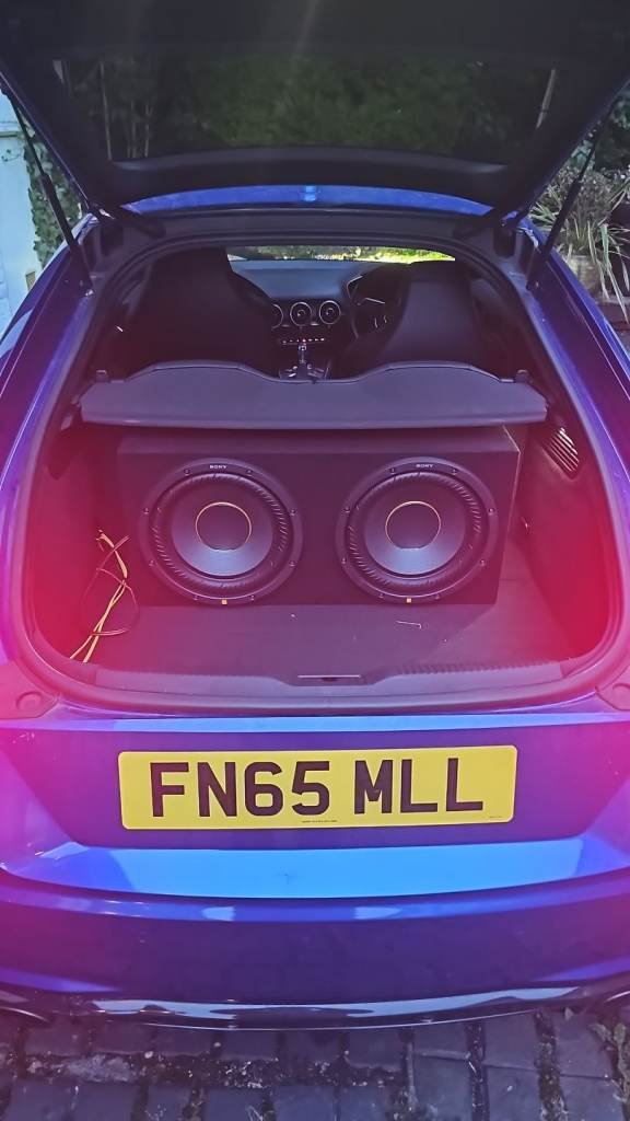 Twin 12" subwoofers, and amp 