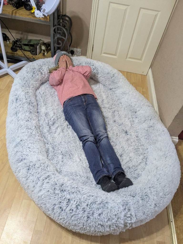 Large dog bed would be ideal for 2 big dogs 