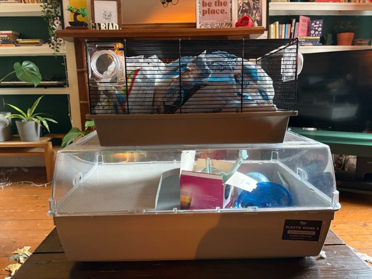 2 x Hamster Cages and Accessories