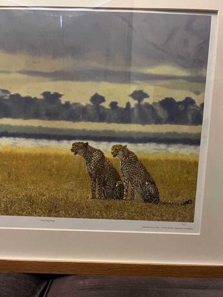 Large limited edition signed framed wildlife print picture