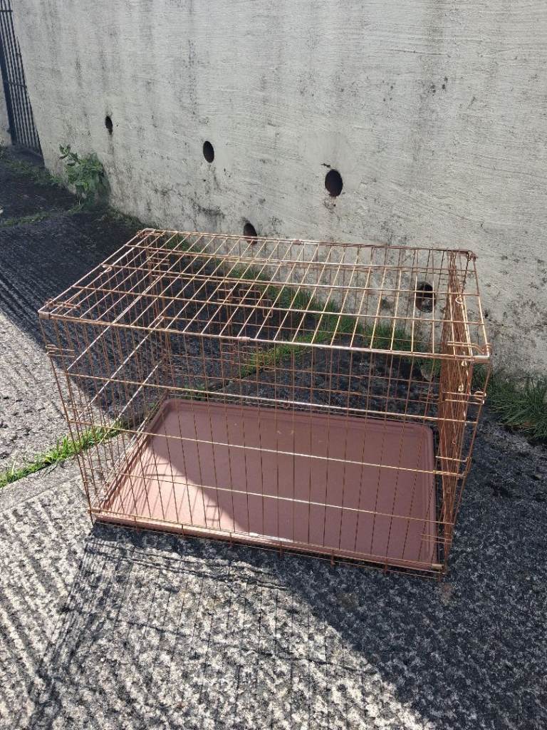 Meduim sized dog crate 