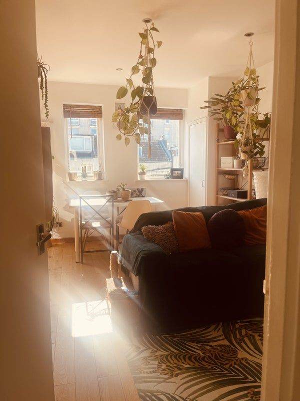 Looking for a flatmate to share a well-loved flat