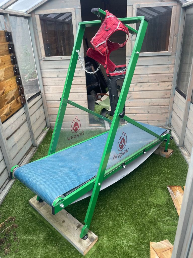Firepaw carpet treadmill for dogs