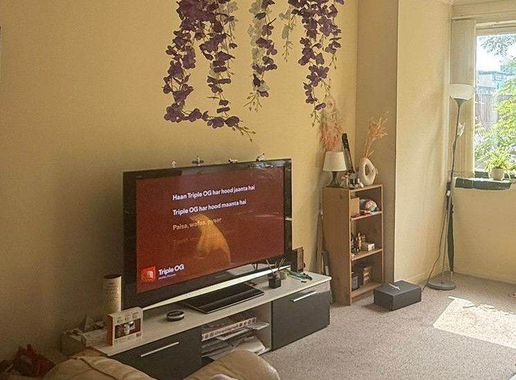 Panasonic Large Flat-Screen TV