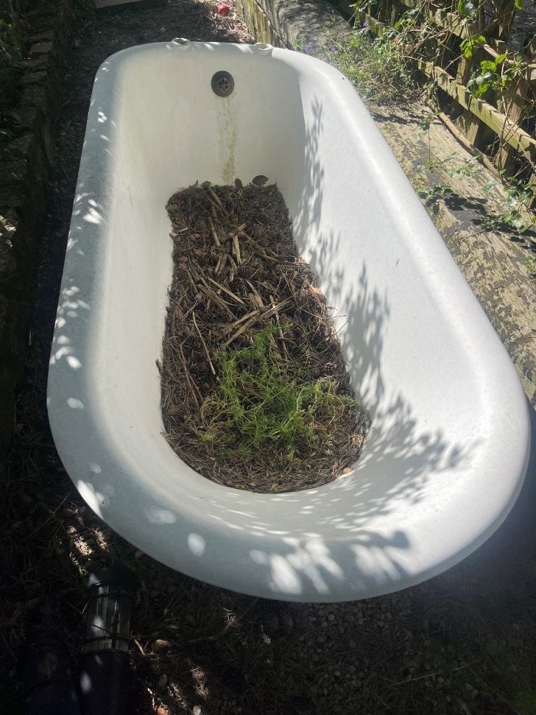 White cast iron bath with claw feet
