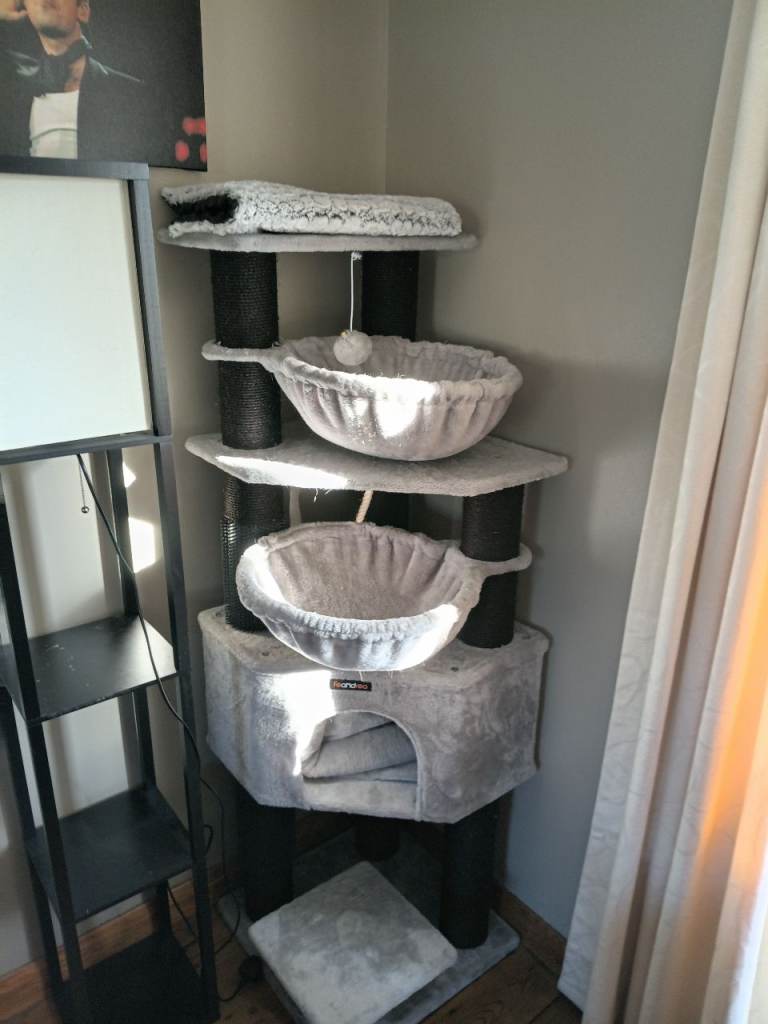 cat tree 