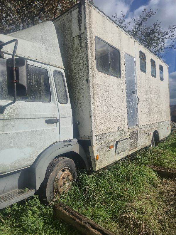 7.5 t horsesbox