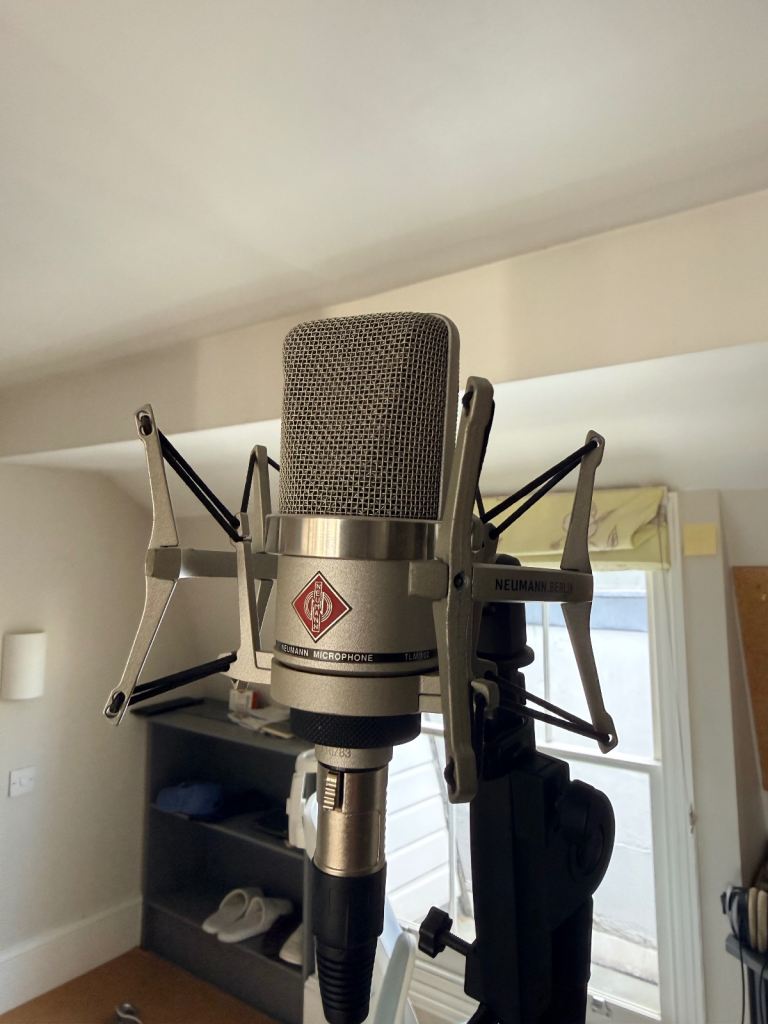 Neumann TLM 102 Condenser Microphone
