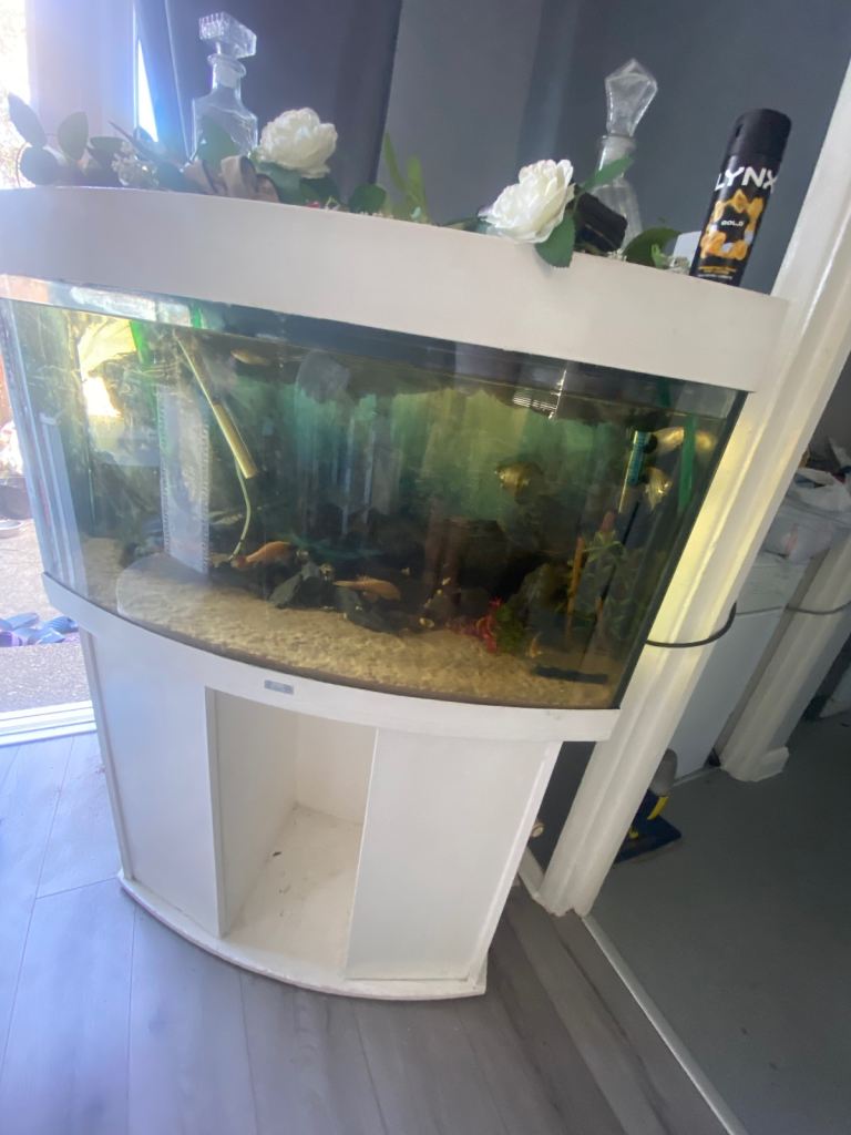 Juwel vision 190 fishtank