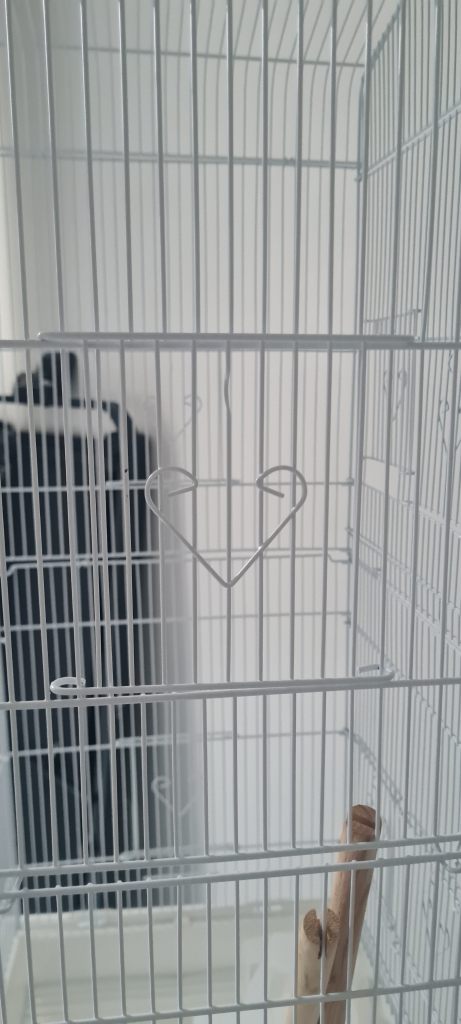 Tall birdcage with stand