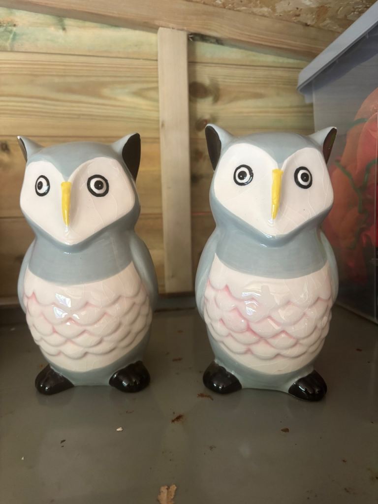 Pair of Cute Ceramic Owl Figurines / Piggy Banks