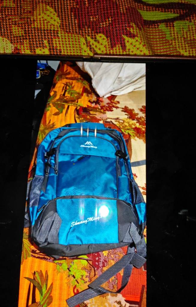 Multiple use bag 