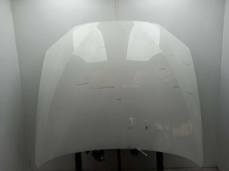 Bmw 6 Series Bonnet 2011-2018 Alpinweiss Iii (300)