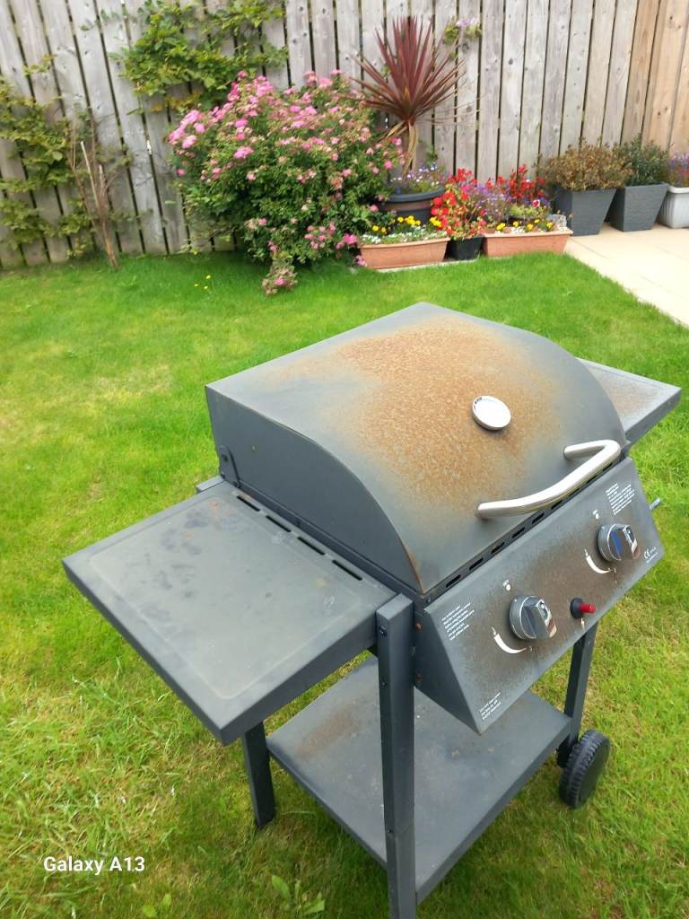 Gas BBQ with two burners and temperature gauge