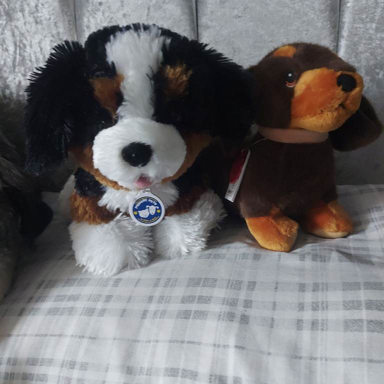 Colection plush dogs