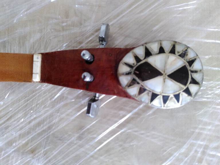 Unique Traditional Banjo / String Instrument