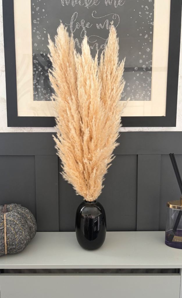 H&M Modern Black Glass Vase with Pampas 🌾