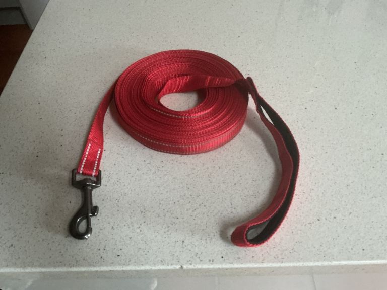 15 metre dog training long lead