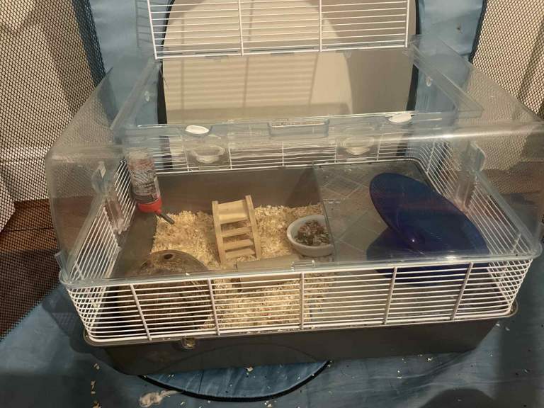 2 dwarf hamsters with cage
