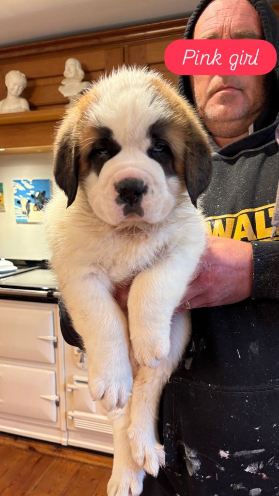 READY TO LEAVE THIS WEEK!