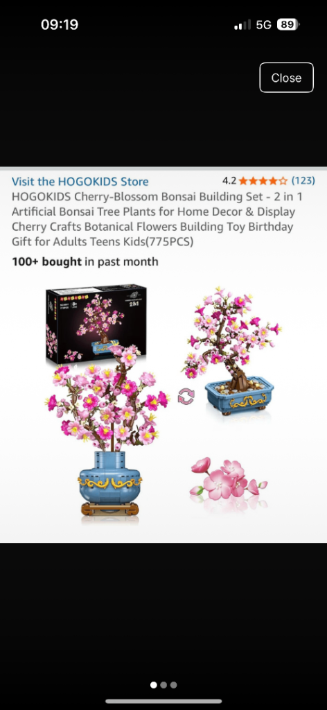 Hogokids cherry blossom bonsai tree