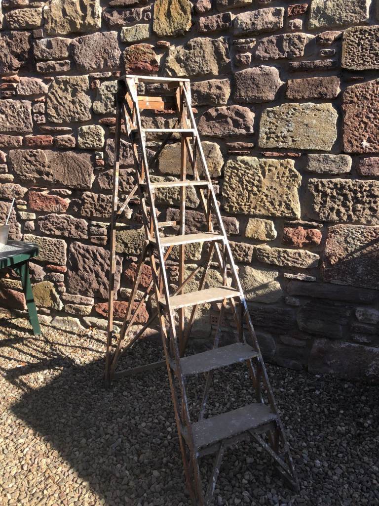 7 Rung Wooden Painters Steps, good condition (G)