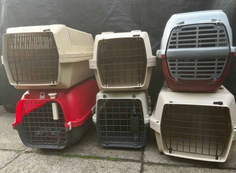 Various cat carriers