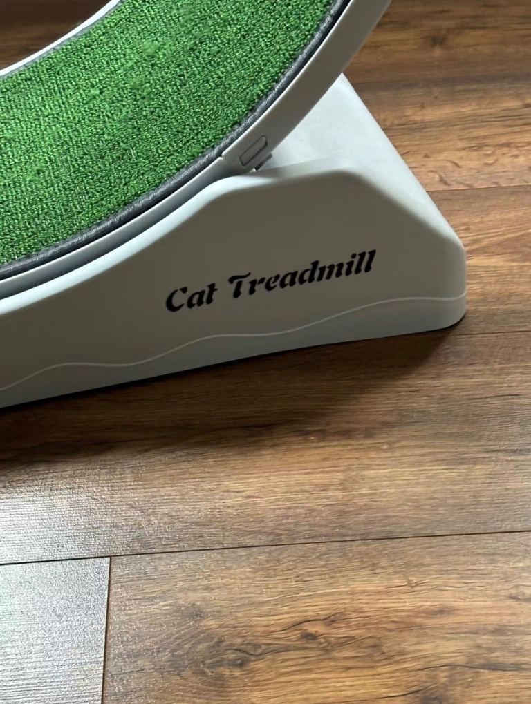 Cat treadmill 