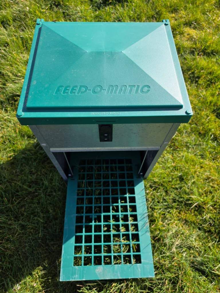 Feed-o-matic Chicken feeder