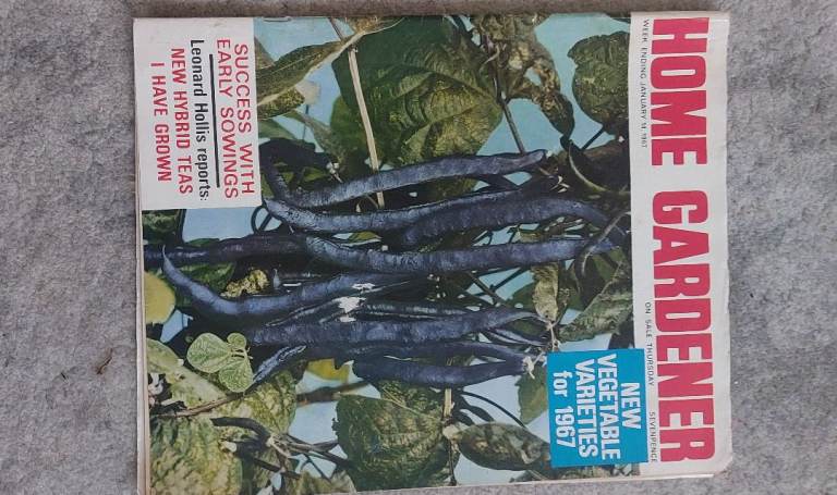 Home Gardener Magazine – New Vegetable Varieties for 1967