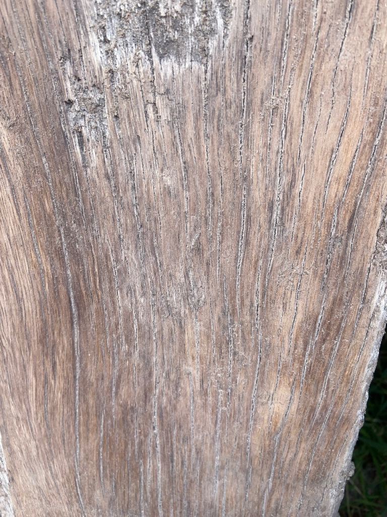 Ash oak teak cherry