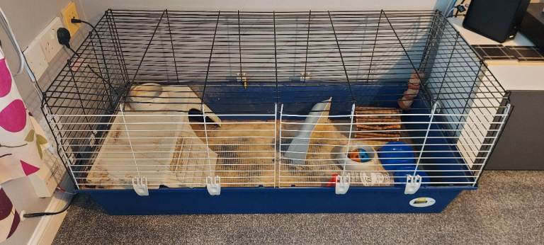 Rabbit/ Guinea pig cage 