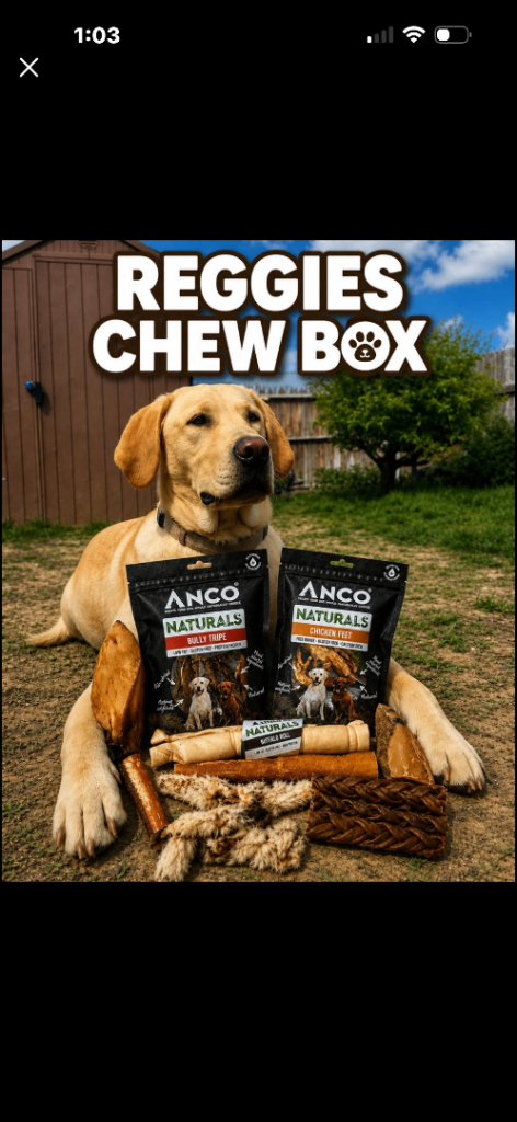 Reggies Chew Box with Anco Naturals - Variety Pack