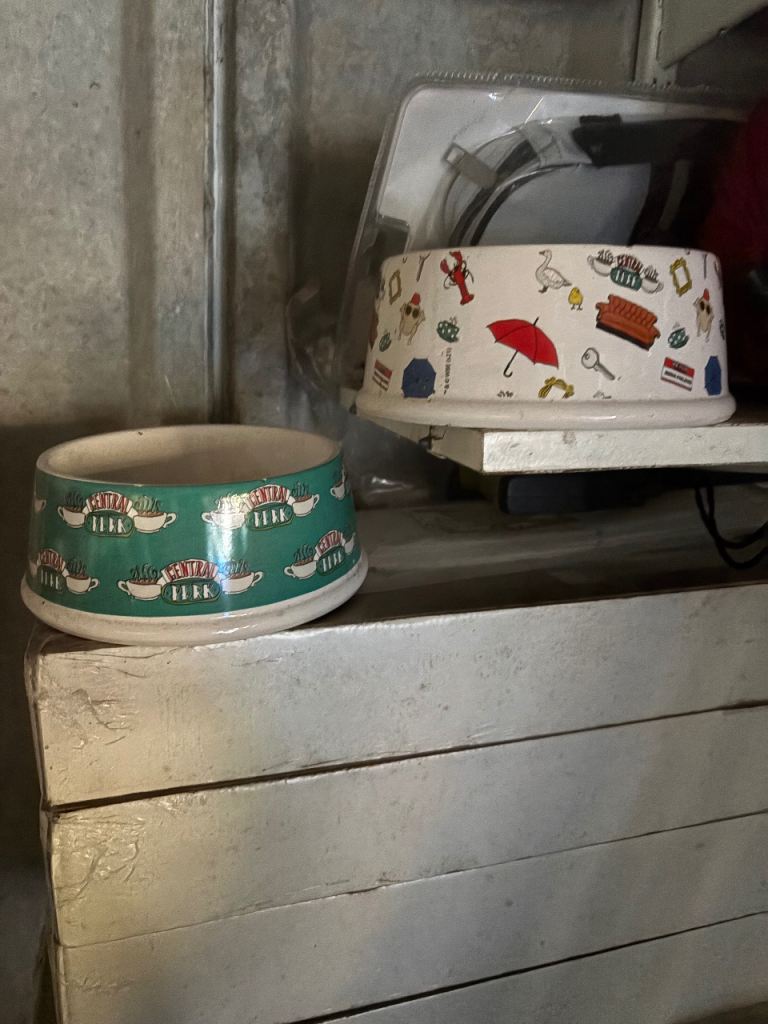2 friends dog bowls 